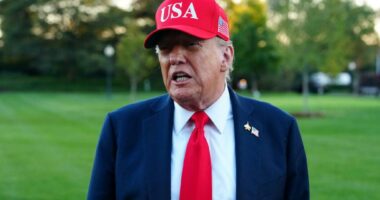 Nix the tariff âdividendâ checks, shrink the deficit instead